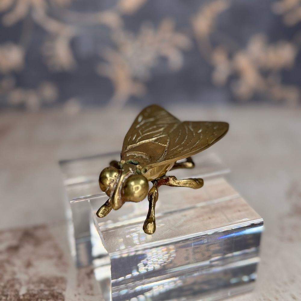 Estate Vintage Brass Fly Vesta Case Match Holder Trinket Ashtray 1950s
